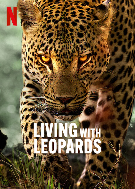 مشاهدة فيلم Living with Leopards 2024 مترجم